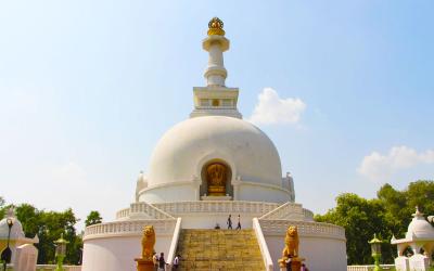 Buddhist Circuit Tour