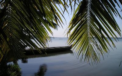 Mystical  Backwaters Tour