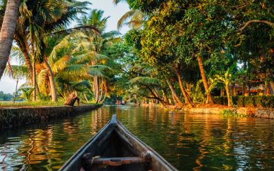 Luxury Backwaters & Beaches  Tour