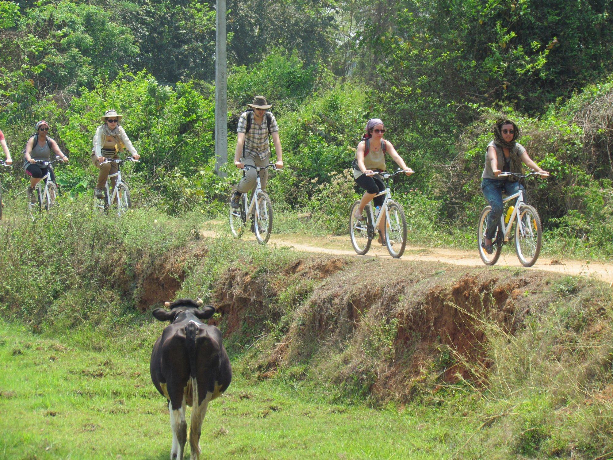 Cycle Tour