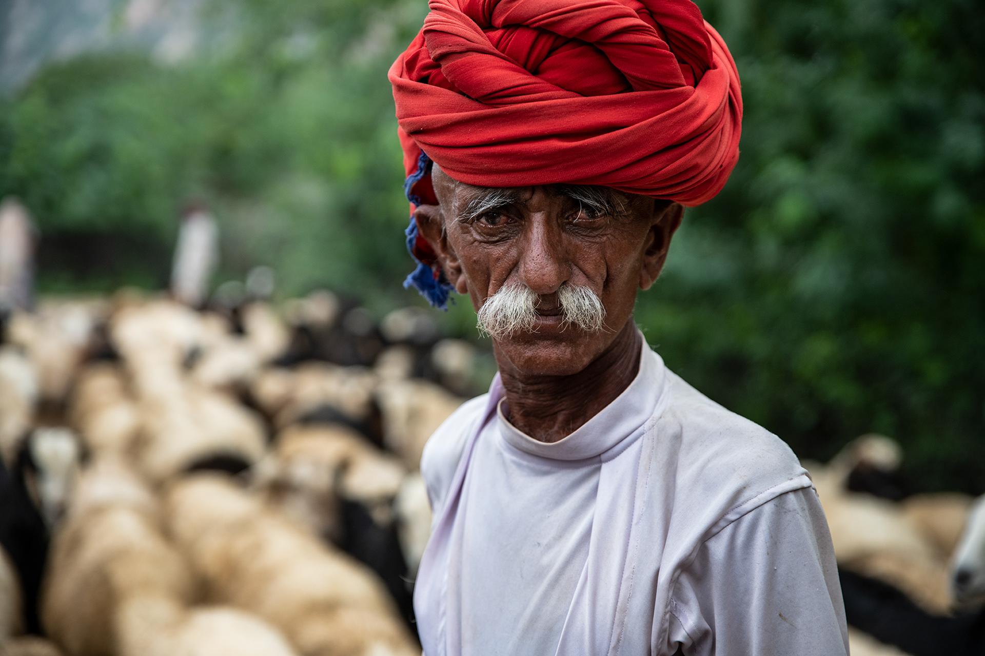 Rural Experience, Shahpura on Route